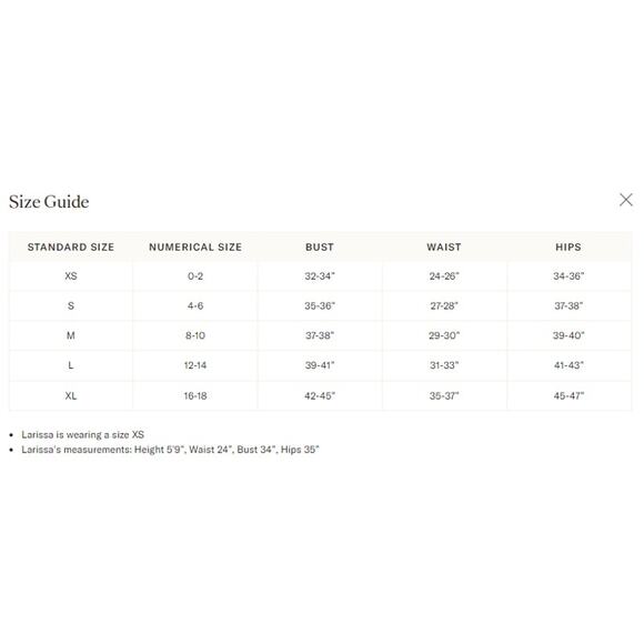 RO'S GARDEN Blue Jacinta Deauville Dress Size XL NWT Retail $195 Tuckernuck - Picture 3 of 7